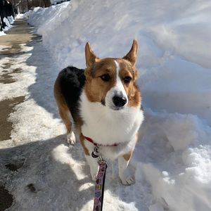 Meet your Posher, Caroline